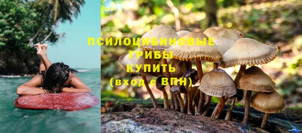 мескалин Абинск