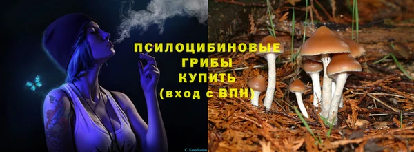 соль ск Абдулино