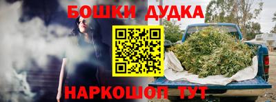крисы Кунгур