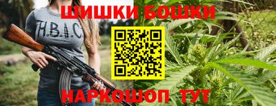 крисы Кунгур