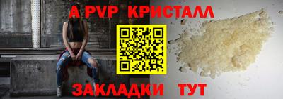 крисы Кунгур