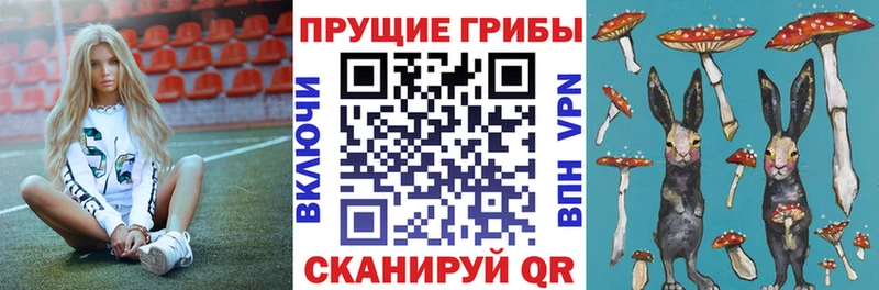 kraken зеркало  дарнет шоп  Янаул  Галлюциногенные грибы мухоморы 